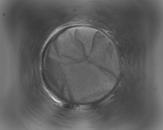 X0000080140056200701051524