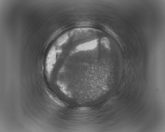 X0000080140059200701051524