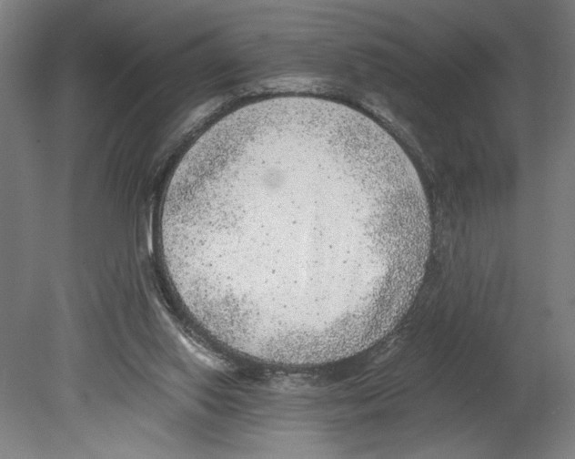 X0000080140062200701051524