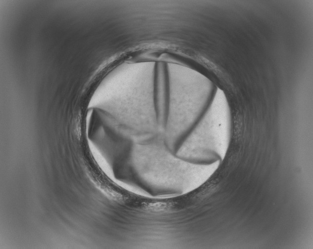 X0000080140064200701051524