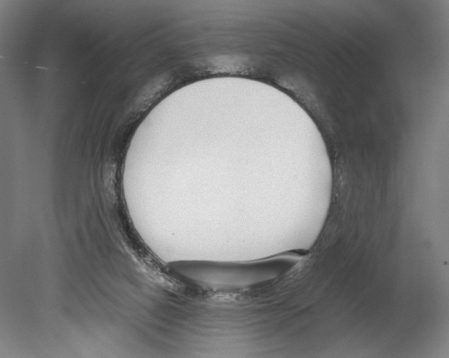 X0000080140066200701051524