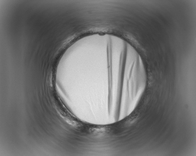 X0000080140068200701051524