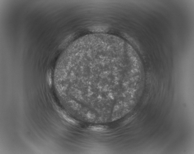 X0000080140069200701051524