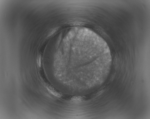 X0000080140076200701051524