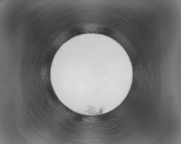 X0000080140079200701051524