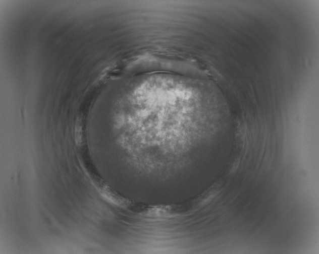 X0000080140080200701051524