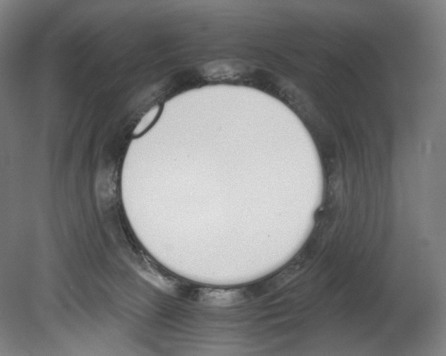 X0000080140081200701051524