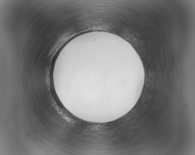 X0000080140098200701051524
