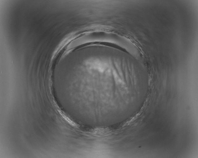 X0000080140101200701051524