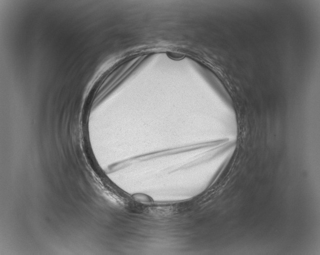 X0000080140102200701051524