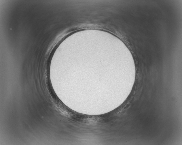 X0000080140103200701051524