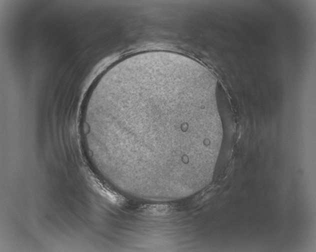 X0000080140104200701051524