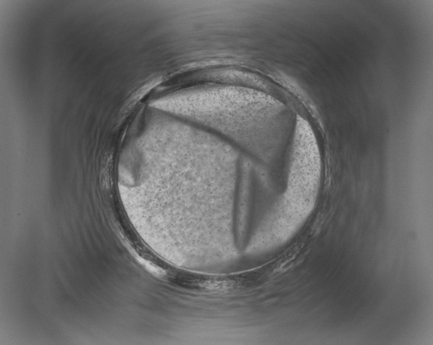 X0000080140105200701051524
