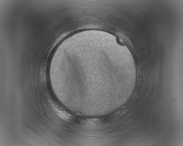 X0000080140108200701051524
