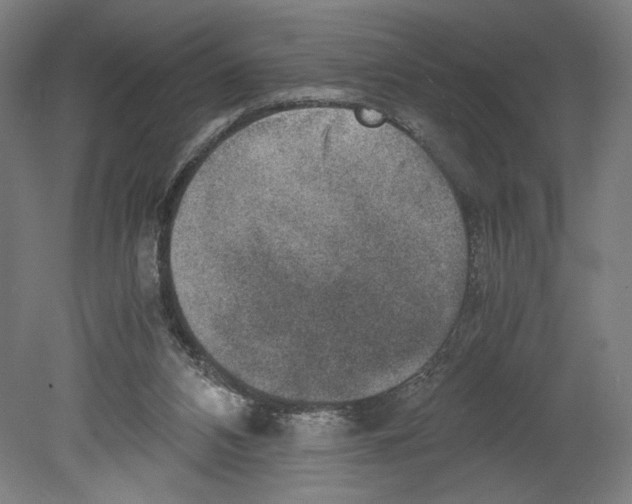 X0000080140112200701051523