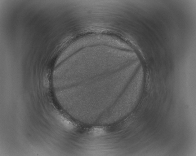 X0000080140114200701051523
