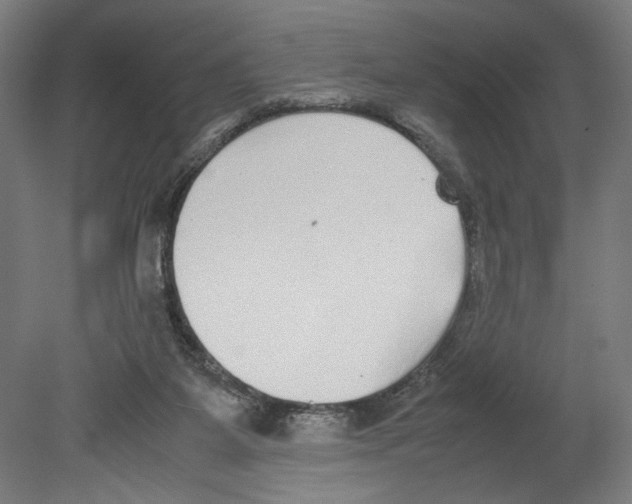 X0000080140115200701051523