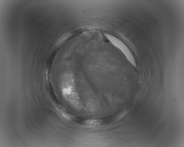 X0000080140117200701051523