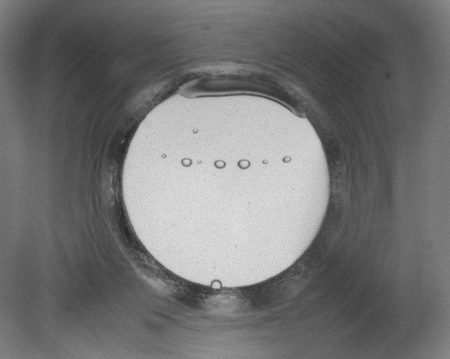 X0000080140119200701051523