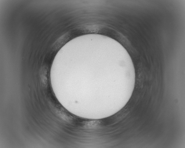 X0000080140122200701051523