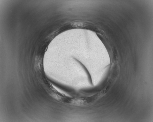 X0000080140125200701051523