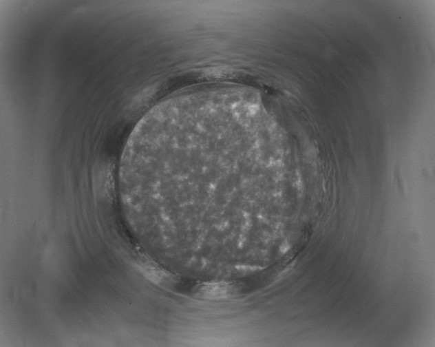 X0000080140127200701051523