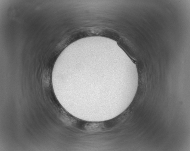 X0000080140129200701051523