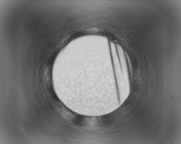 X0000080140131200701051523