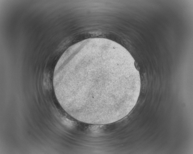 X0000080140136200701051523