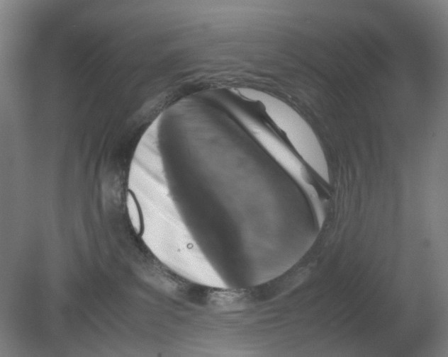 X0000080140139200701051523