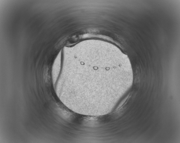 X0000080140140200701051523