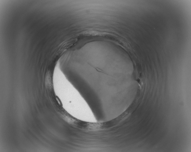 X0000080140143200701051523