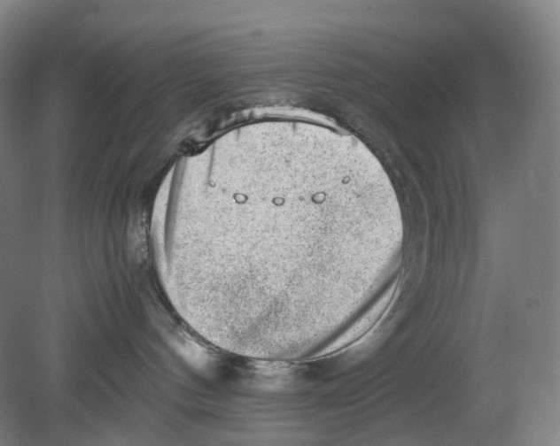 X0000080140144200701051523