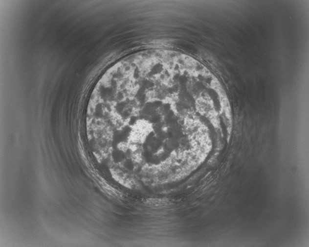 X0000080140145200701051522