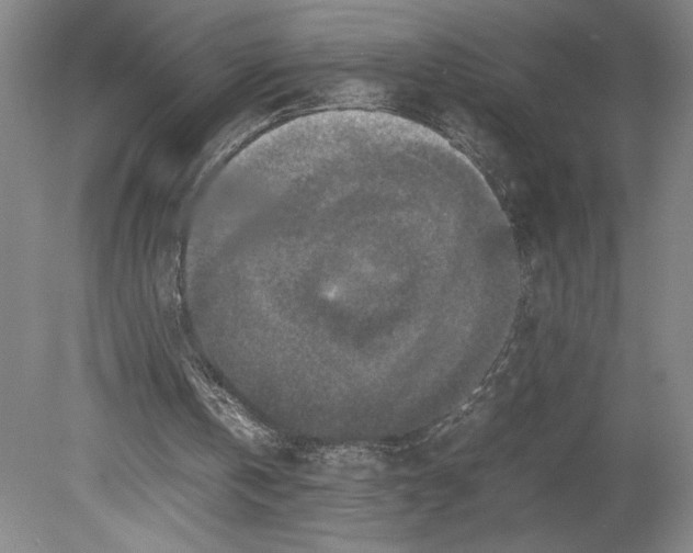 X0000080140146200701051522