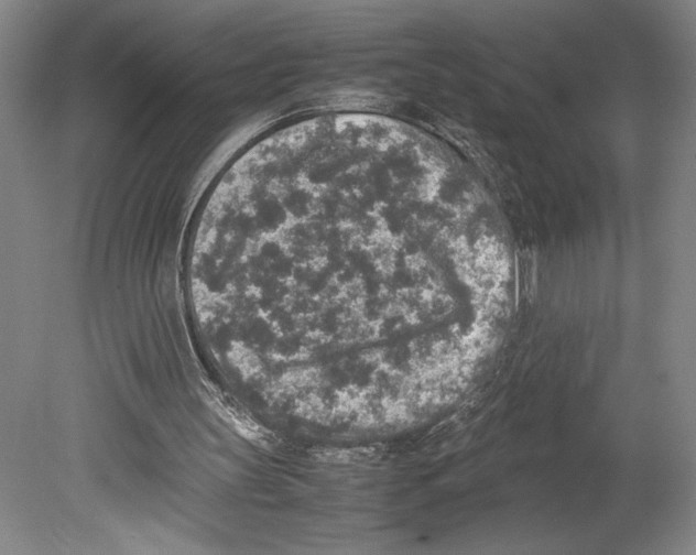 X0000080140147200701051522
