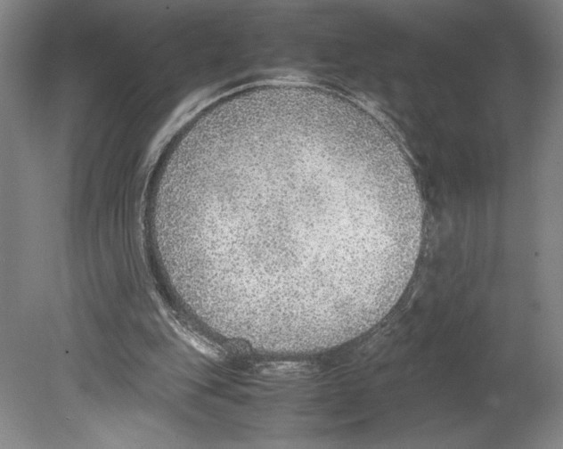 X0000080140151200701051522