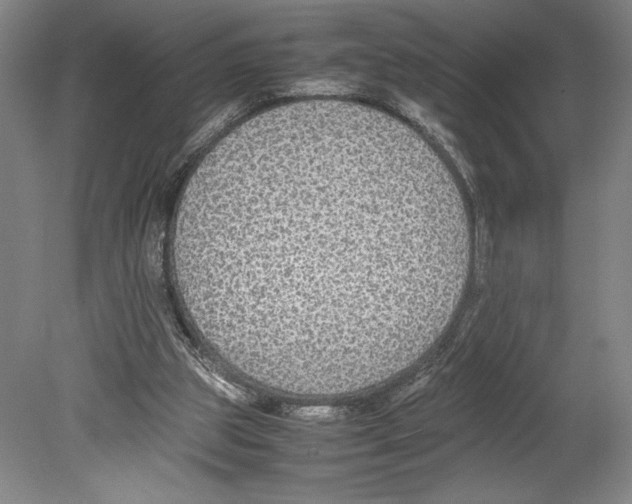 X0000080140153200701051522