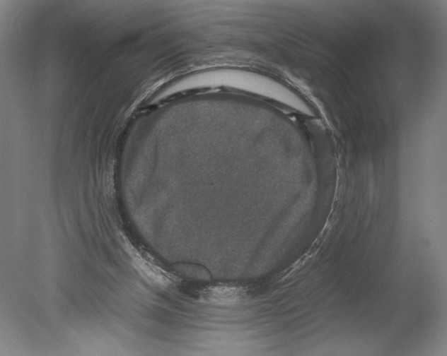 X0000080140154200701051522