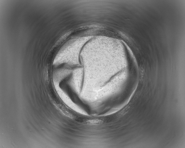 X0000080140158200701051522