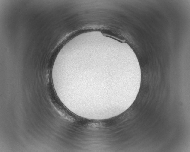 X0000080140160200701051522
