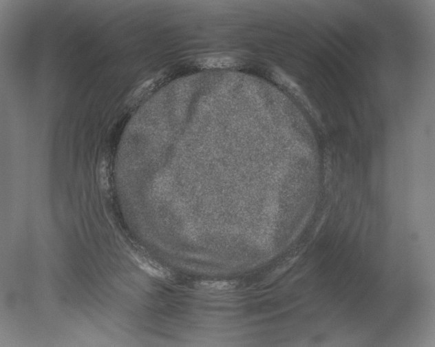 X0000080140161200701051522