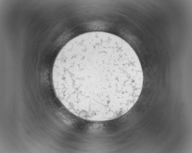 X0000080140162200701051522