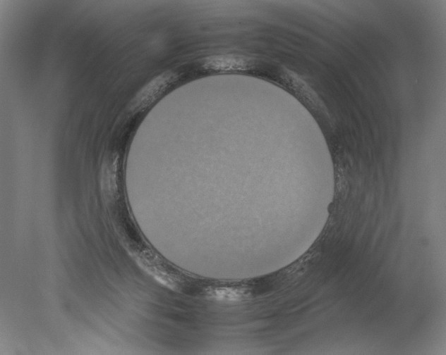 X0000080140163200701051522