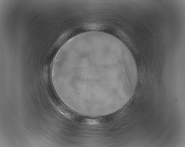 X0000080140167200701051523