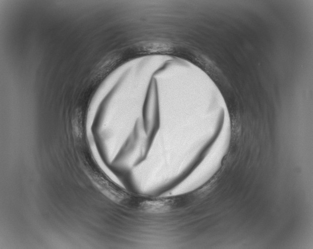 X0000080140170200701051523