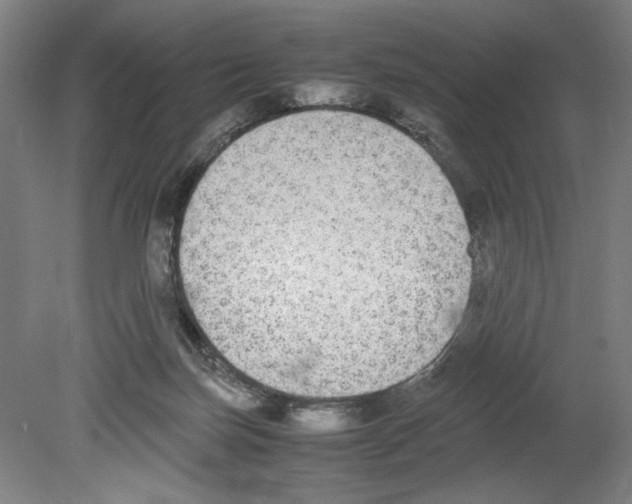 X0000080140171200701051523