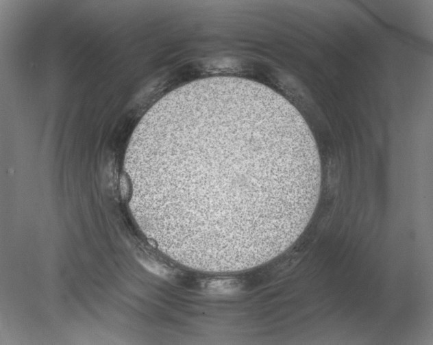 X0000080140173200701051523