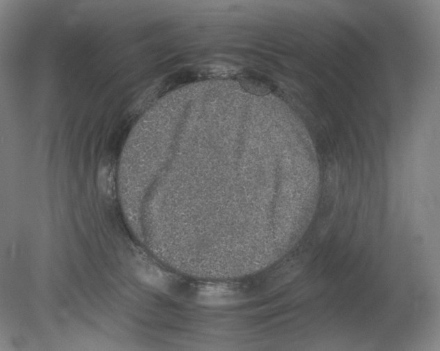 X0000080140177200701051523