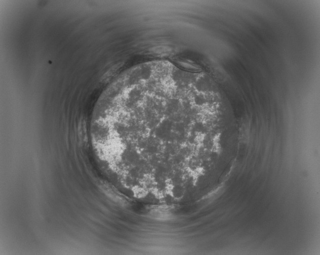 X0000080140182200701051523